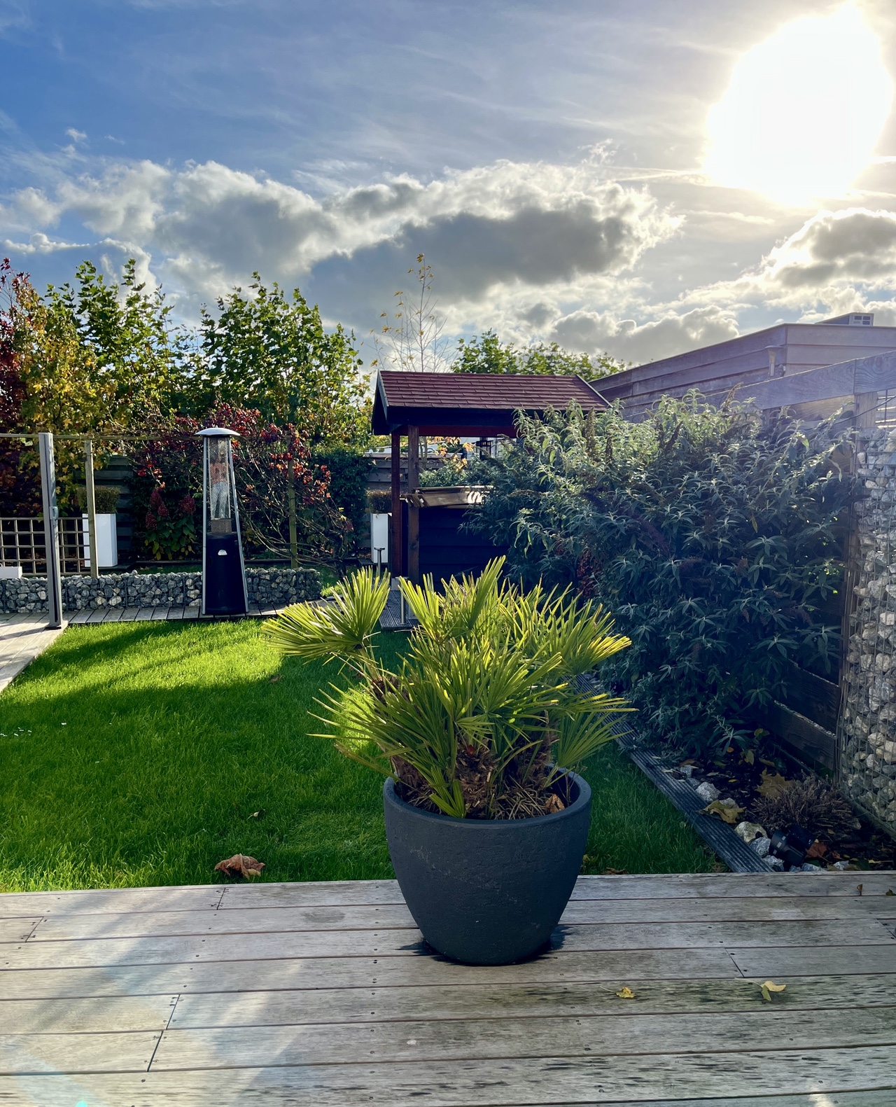 img 20251030 142035.jpg compressed