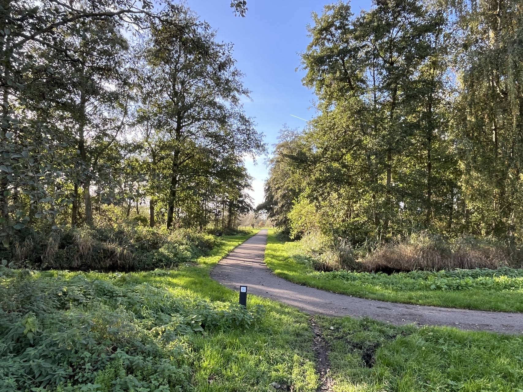 img 20251030 143721.jpg compressed