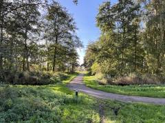 Natuurpark in de achtertuin